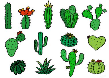 vektör toplama el çizmek kaktüs