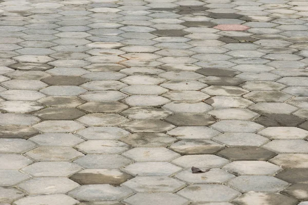 Losas de pavimentación, azulejos de pavimentación con dibujos, piso de ladrillo de cemento backgrou — Foto de Stock