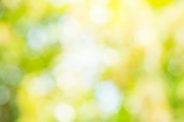 Bokeh 'in yanıp sönen ışıkları Vintage arka planına odaklanmış. Doğal bokeh ve parlak ışıklarla şenlikli bir arka plan..