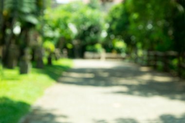 Ağaçlar ve yürüyüş yolu arasında ışık patlamasının soyut bir fotoğrafı. resim bulanık ve filtrelenmiş