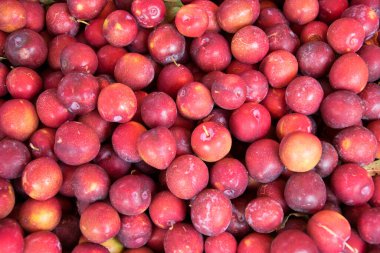 Arka plan olarak taze olgun kırmızı erikler