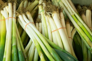 Piyasada taze yeşil Japon Bunching Onion