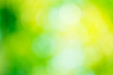 Bokeh geçmişi. Tasarım elementi. Doğal yeşil bulanık arkaplan.