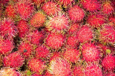 Rambutan, Rambutan geçmişi, kırmızı rambutan, olgun rambutan, satılık rambutan, rambutan meyvesi.