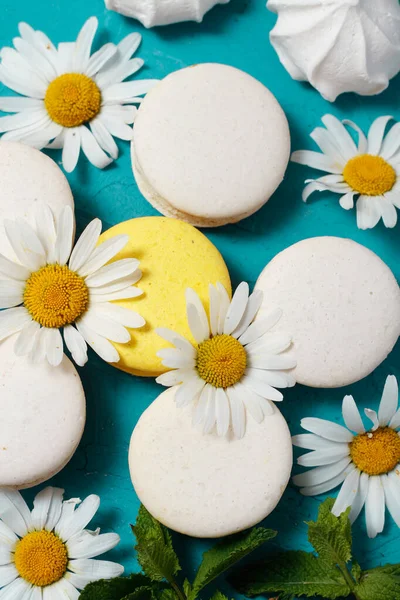 Macarrones Flores Fondo Azul — Foto de Stock