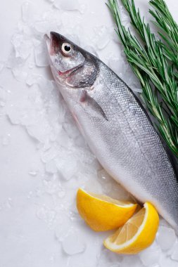 Beyaz arka planda levrek balığı