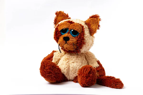 Leksak Mjuk Fluffig Katt Med Ledsna Ögon Vit Bakgrund Inga — Stockfoto