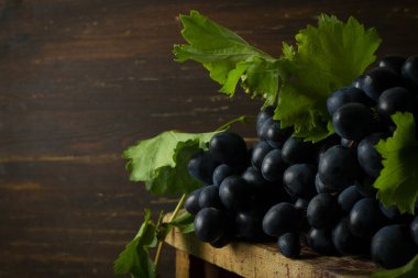 Yapraklı siyah üzümler, kırsal, yukarıdan manzara