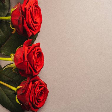 Açık arkaplanda beş kırmızı gül.