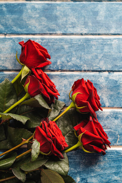 Five red roses on a blue wooden background.