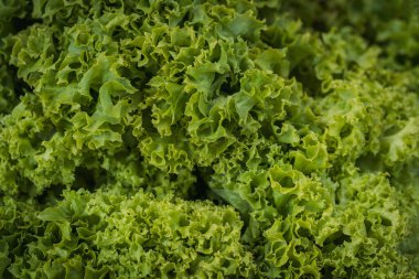 Yemek arkaplanı. Yeşil salata yakın plan. Makro çekim.