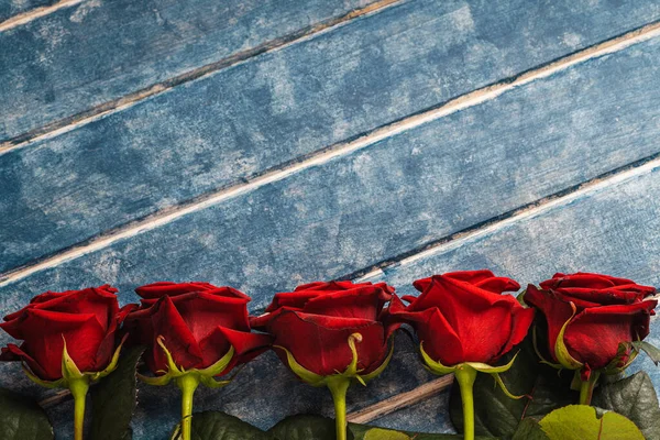Mavi ahşap arka planda beş kırmızı gül..