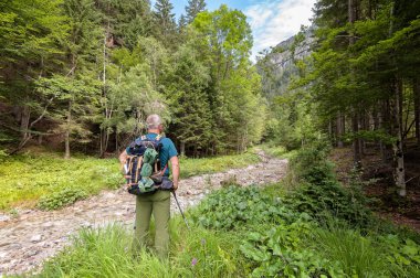 Sırt çantası yakınındaki bir dere ile olgun hiker dağ yoluna gözlemler. Sağlıklı yaşam tarzı.