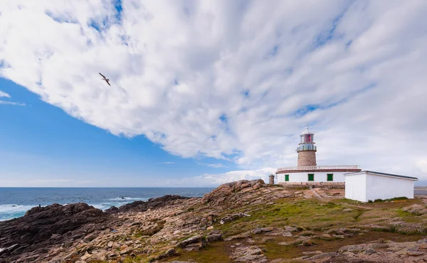 Meereslandschaft Mit Leuchtturm Meer Klippe Und Bewölktem Himmel Galizia Spanien — Stockfoto