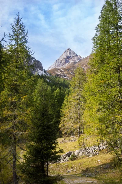 Gebirgslandschaft Mit Blauem Himmel Und Wolken Natürlicher Sommerhintergrund Alpen Friaul — Stockfoto