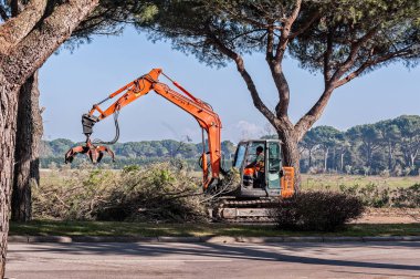 Bibione, İtalya - 08 Mart 2018: İşçi ve makine ağaç budama turizm sezonu başlamadan önce.