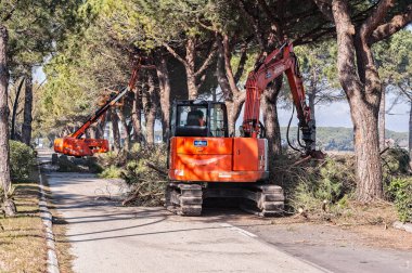 Bibione, İtalya - 08 Mart 2018: İşçi ve makine ağaç budama turizm sezonu başlamadan önce.