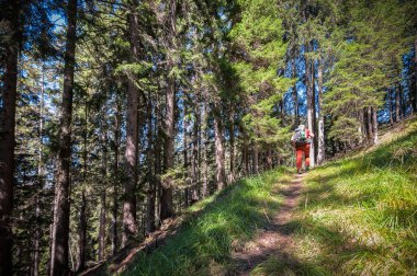 Dağlarda yürüyen bir yürüyüşçü. hedef, başarı, özgürlük ve başarı kavramı.