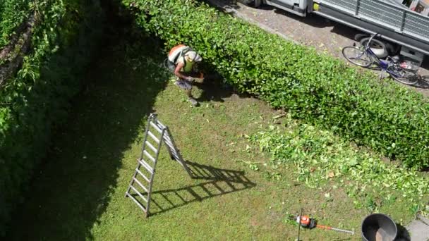 庭の仕事 認識できない庭師は 送ブロワーを使用して葉や下草からきれいにします 航空写真 音付き — ストック動画
