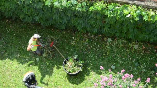 Trabajo Jardinería Irreconocible Jardinero Rastrilla Césped Vista Aérea — Vídeo de stock