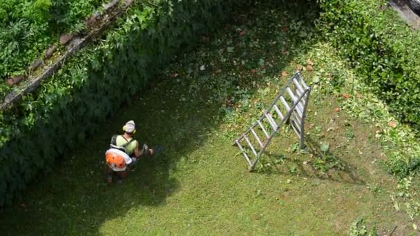 花园工作 无法辨认的园丁使用鼓风机清洁树叶和灌木丛中 带声音 — 图库视频影像