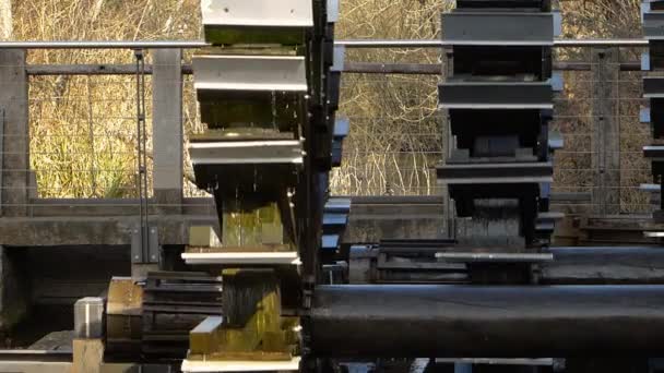 Primer Plano Dos Waterwheel Acción — Vídeos de Stock