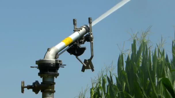 Sprinkler Zur Bewässerung Betrieb — Stockvideo