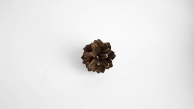 Beyaz arka planda Noel konisi.