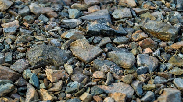 Rocky shore of the lake close up. Large and small stones are illuminated by the hot evening sun. Walk along the beach of a lake in Russia. — Stock Photo, Image