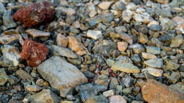 Gölün kayalık kıyısı yakında. Büyük ve küçük taşlar sıcak akşam güneşi tarafından aydınlatılır. Rusya 'da bir gölün sahilinde yürümek.