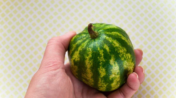 Small green watermelon in hand on a checkered yellow background. Sweet delicious fruit. Harvesting in autumn. Selective focus. Place for text.
