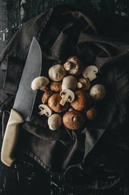 Şapiones de diferentes tipos ayık tela oscura