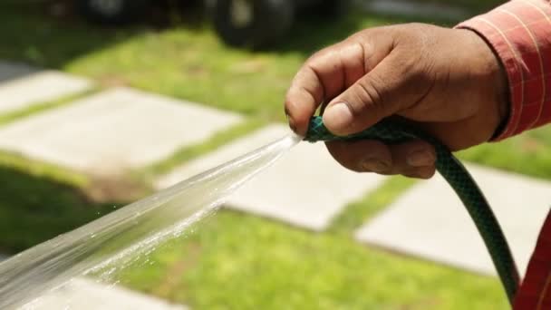 园丁用软管浇灌草坪 拉丁人的手把水倒在花 草和花园上 — 图库视频影像