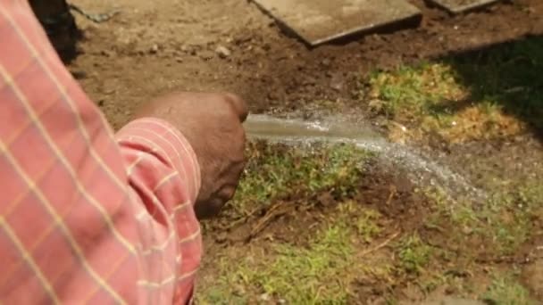 Jardineiro Regar Grama Com Uma Mangueira Mãos Latinas Derramando Água — Vídeo de Stock