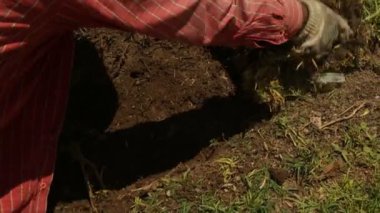 GARDENER İÇİN VE ÇALIŞMA ÇALIŞMASI