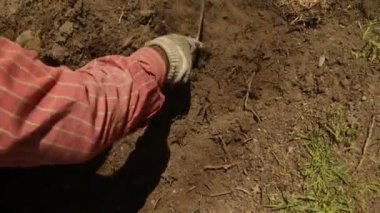 GARDENER İÇİN VE ÇALIŞMA ÇALIŞMASI