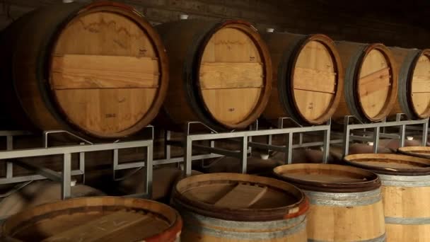 Barrels Cellar Barrels Beer Wine Whiskey — Stock Video