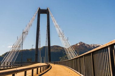 Norveç manzarası manzaralı bir yer. Köprü