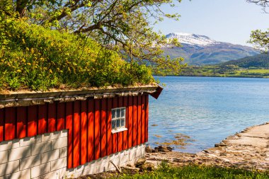Norveç köyünün manzaralı şirin evi ve karahindibaları.