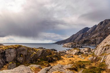 Norveç manzarası manzarası 