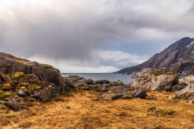 Norveç manzarası manzarası  