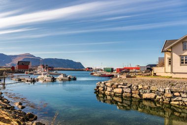 Norveç köyünün manzaralı şirin evleri