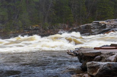 Norveç manzarası manzaralı bir yer. Dağ pınarı  