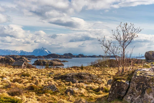 Scenic View Norwegian Landscape — Stock Photo, Image