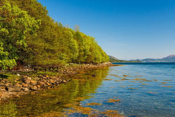 Vista Panorámica Del Paisaje Noruego — Foto de Stock