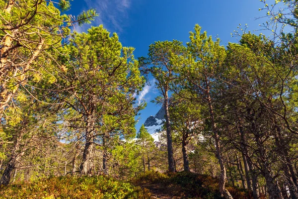 Norveç manzarası manzarası   