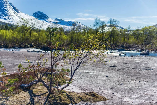 Scenic View Norwegian Landscape — Stock Photo, Image