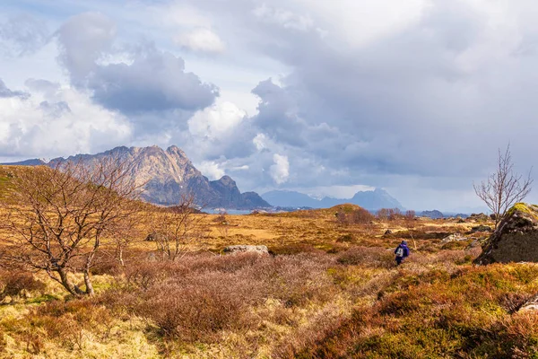 Szenische Ansicht Der Norwegischen Landschaft — Stockfoto