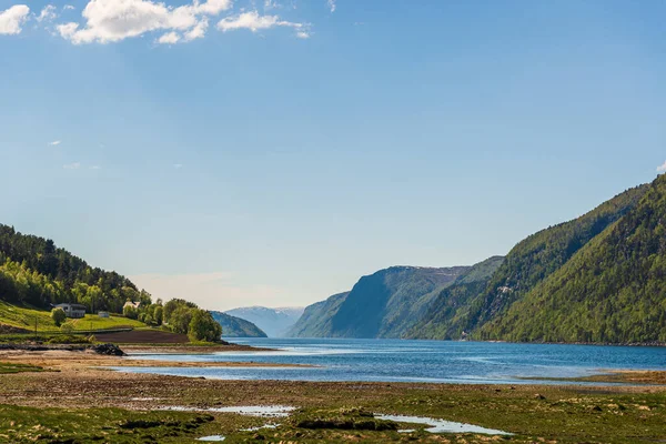 Norveç Manzarası Manzarası — Stok fotoğraf