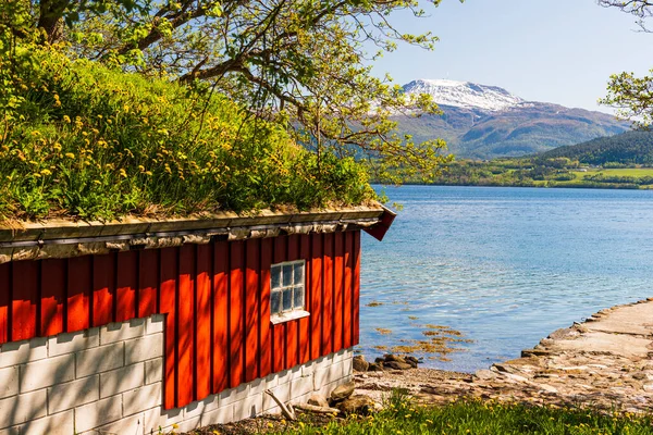 挪威村庄可爱的房子和蒲公英的景致 — 图库照片